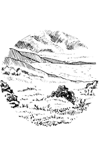 Corsi e Degustazioni nella provincia di Rimini
